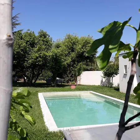 De La Pinede ,5 Km D'avignon Villa